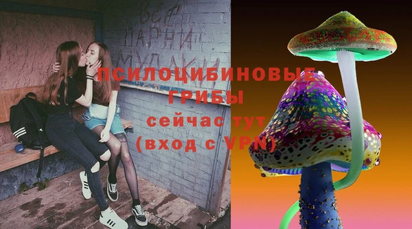 синтетический гашиш Алексин