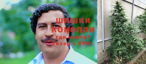 МДПВ Елабуга