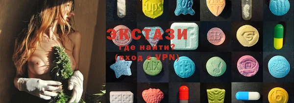 СК Ельня